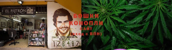 дмт Арсеньев