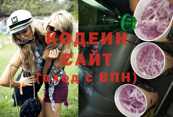 спайс Няндома