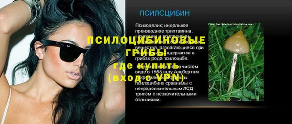 амфетамин Алексеевка