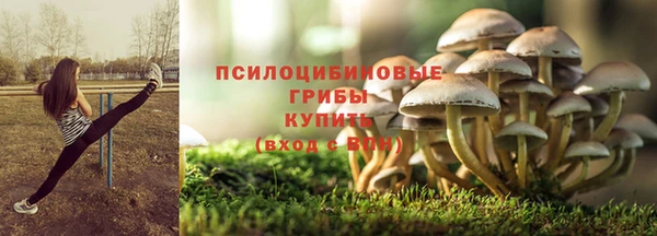 ПСИЛОЦИБИНОВЫЕ ГРИБЫ Алзамай