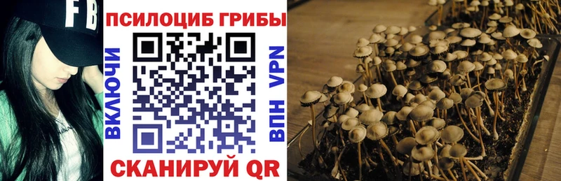 mega сайт  Лаишево  Галлюциногенные грибы мицелий 